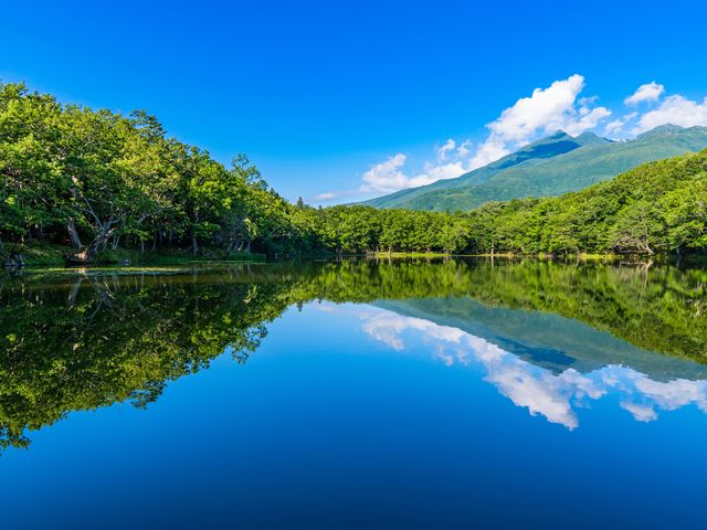 知床五湖イメージ