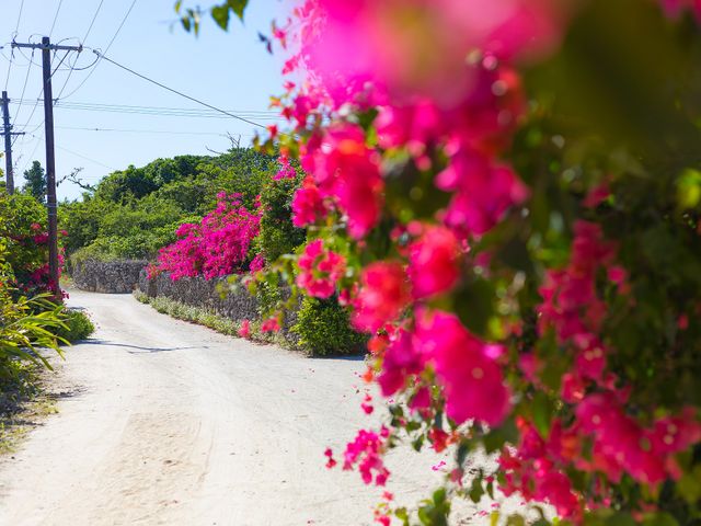 初心者向け！石垣島旅行モデルコースイメージ