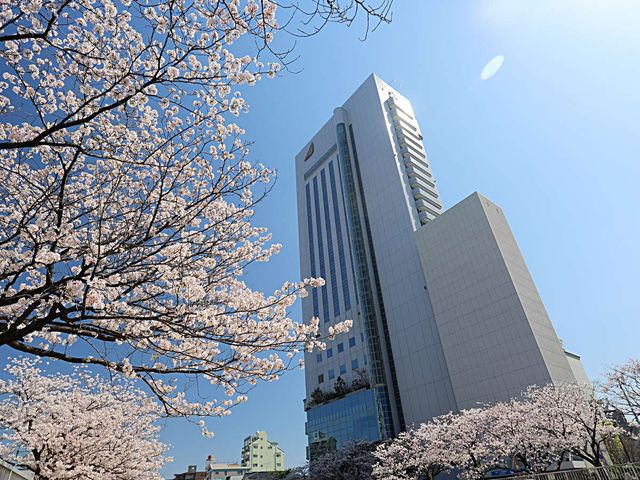 ホテルが選べるイメージ