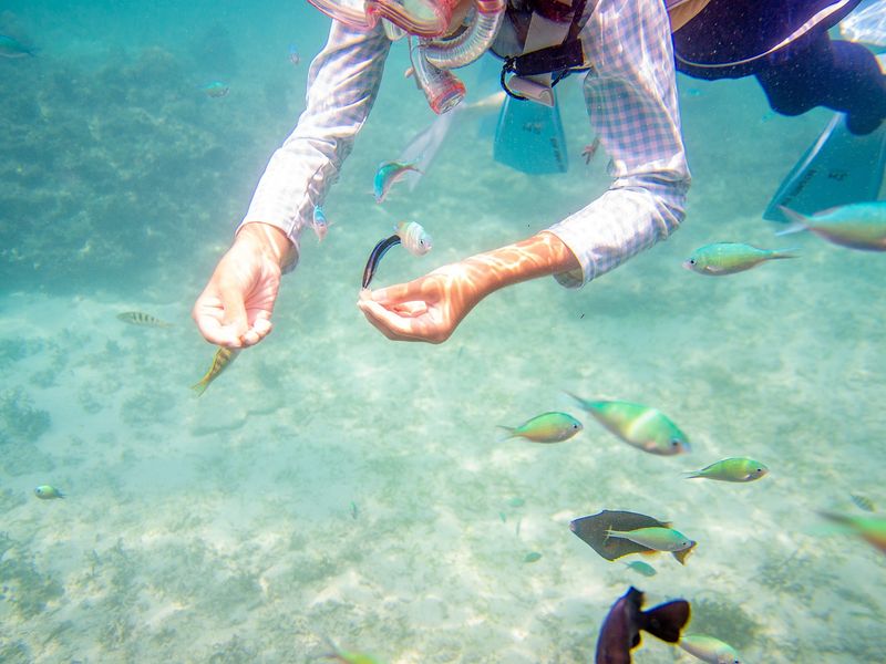 はての浜でシュノーケリング
