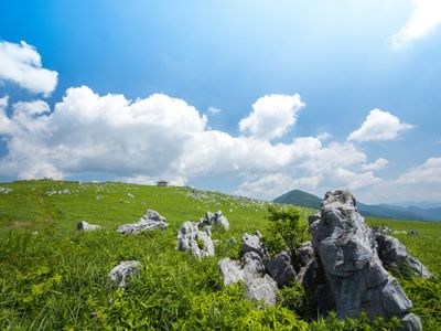 愛媛旅行・松山旅行