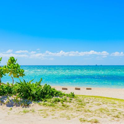 竹富島フリー散策ツアー付イメージ