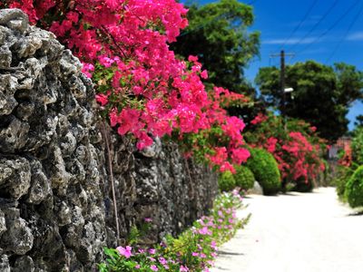 竹富島日帰りツアーイメージ