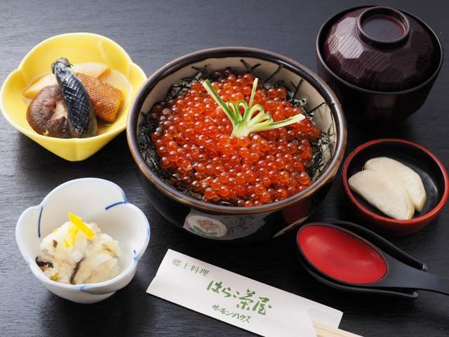鮭で有名な村上市ではらこ丼が食べれる新潟旅行イメージ