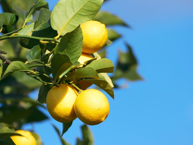 しまなみ海道のおすすめスポットイメージ