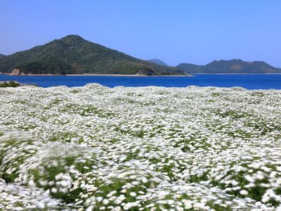 フラワーパーク浦島