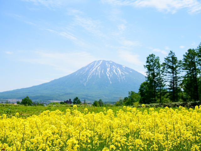 8月出発限定!北海道周遊旅行!イメージ