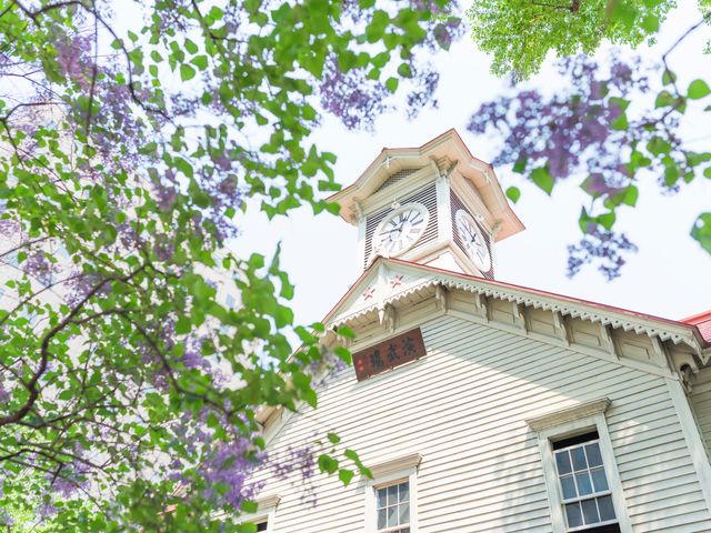 《往復の空港が選べる》北海道周遊フリープランイメージ