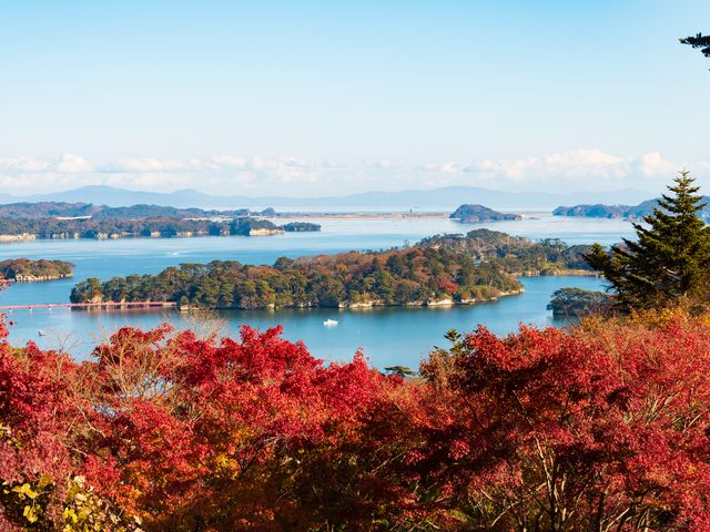 松島島巡り観光船付き!東北フリープランイメージ