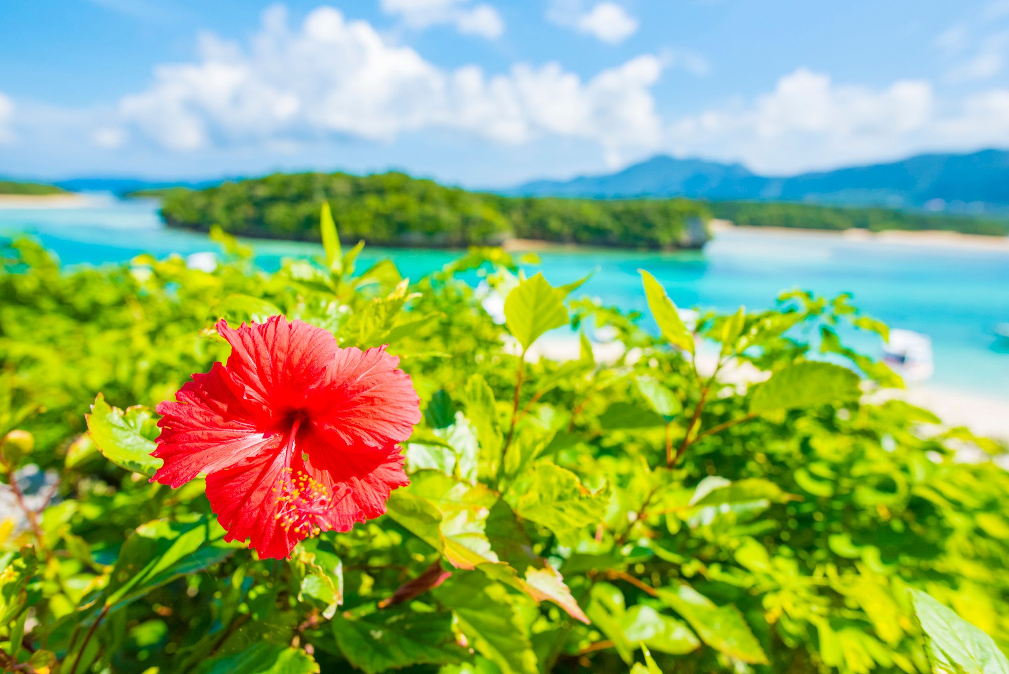 沖縄の海