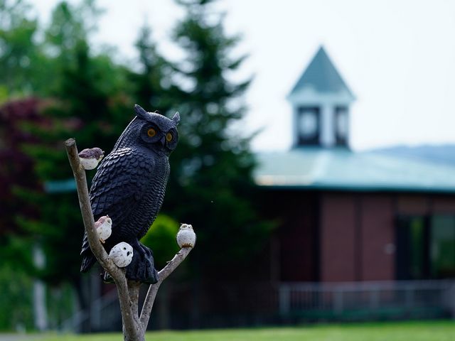 羊ケ丘カントリークラブイメージ