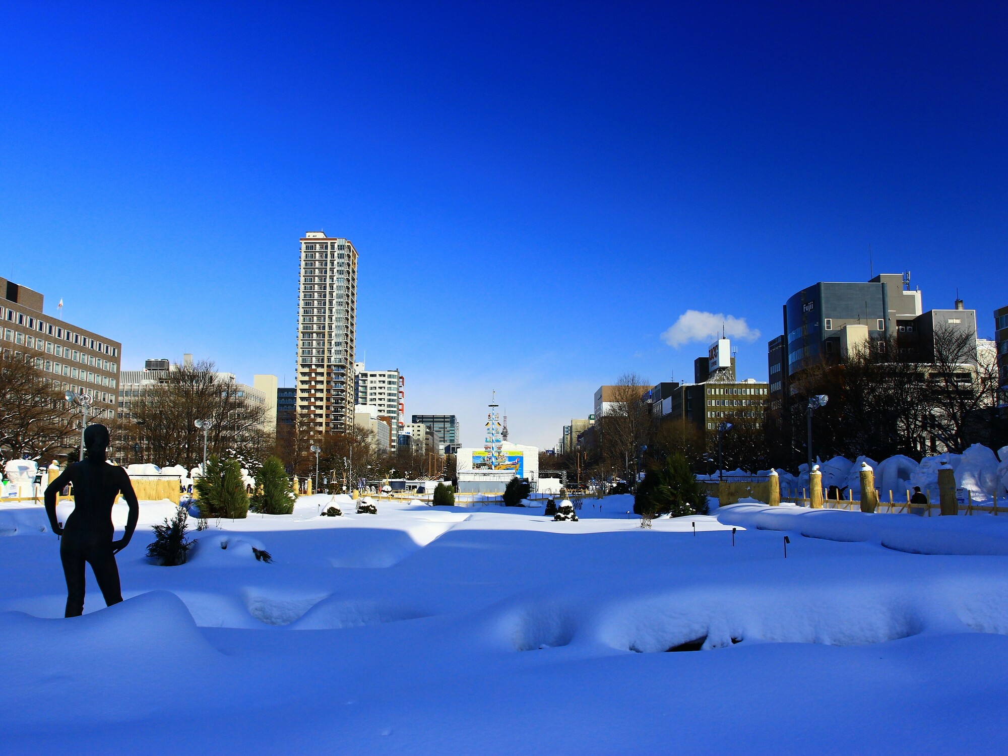 【特典付】さっぽろ雪まつりツアー2020｜カップル・女子 ...