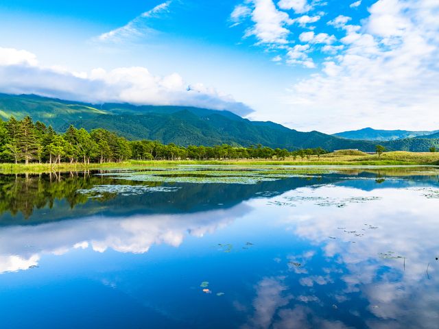 大自然の豊かさを感じる知床の旅イメージ