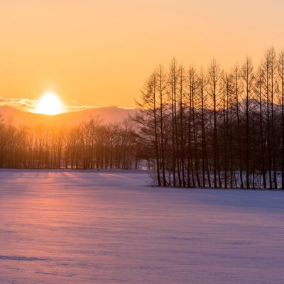 年末年始・お正月におすすめの北海道ツアーイメージ
