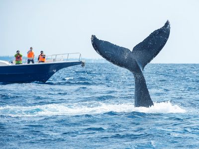 沖縄本島フリープラン - レンタカー付きイメージ