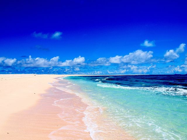 はての浜上陸ツアー付きイメージ