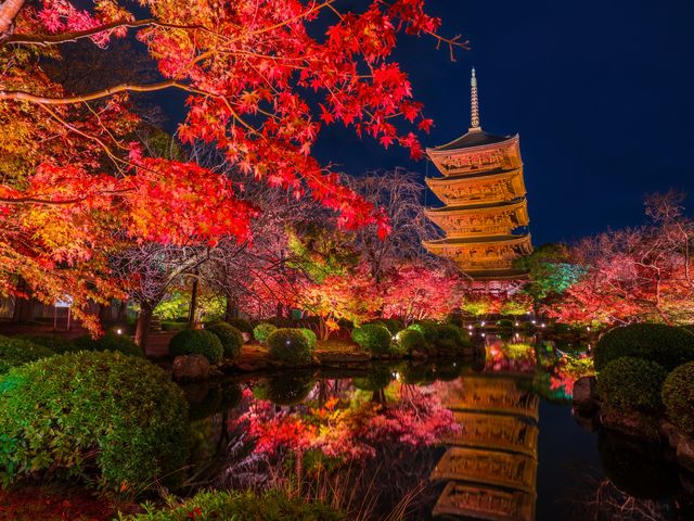 秋の京都は紅葉シーズンイメージ