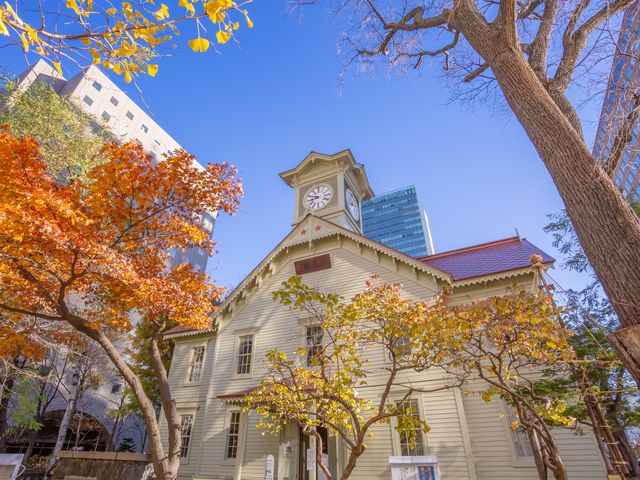 北海道の紅葉の時期は?イメージ