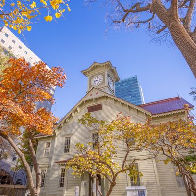 とにかく安く行きたい!11月 北海道ツアーイメージ