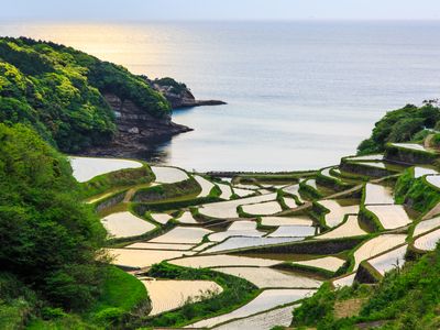 佐賀フリープランイメージ