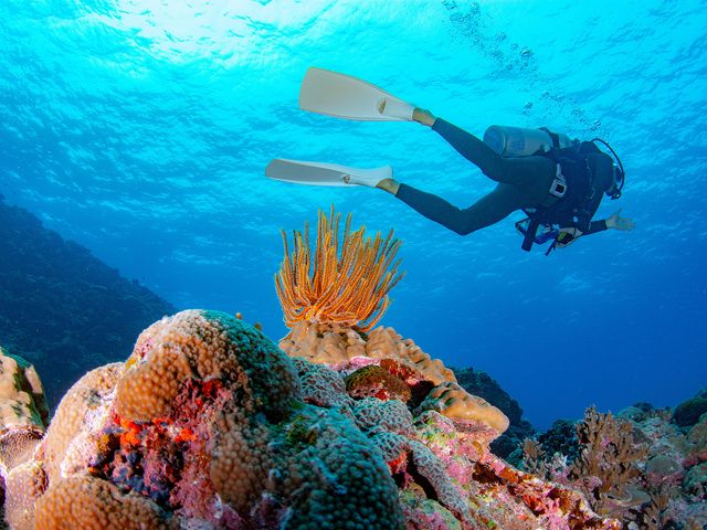 受講条件イメージ