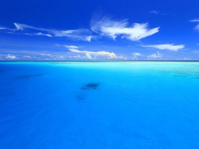 八重干瀬(やびじ)