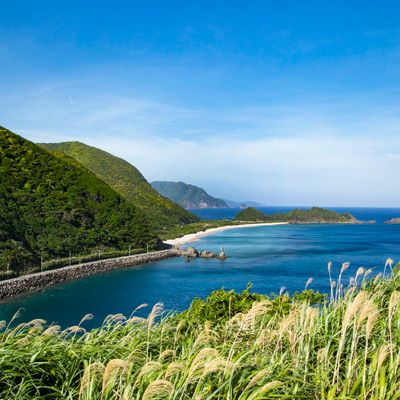 とにかく安くいきたい！10月 屋久島ツアー・奄美大島ツアーイメージ