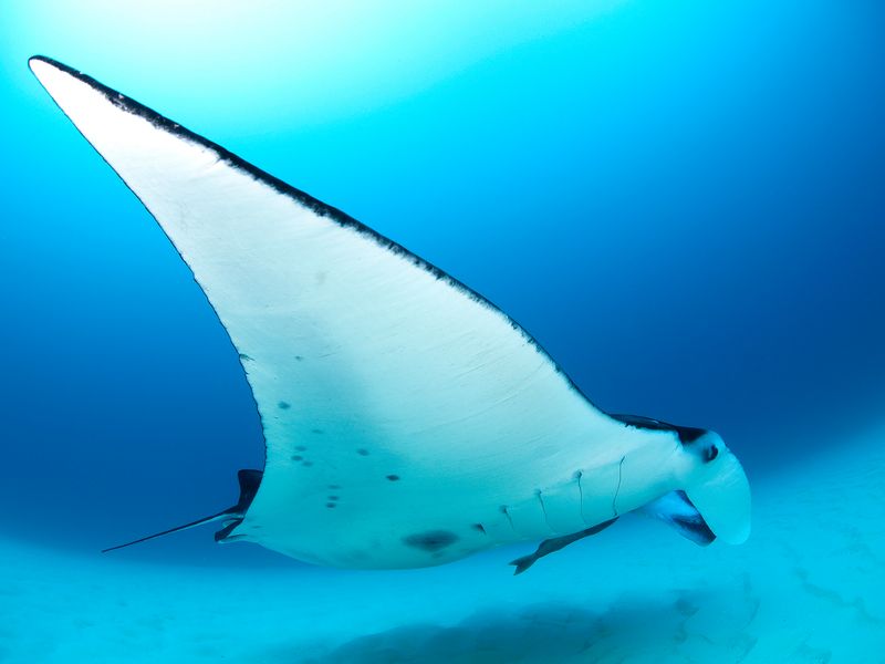 ヨナラ水道