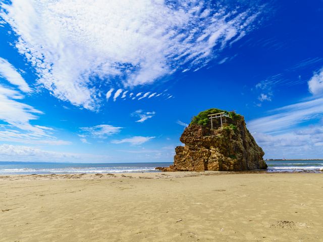 島根フリープランイメージ