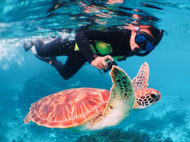 家族旅行応援キャンペーンイメージ