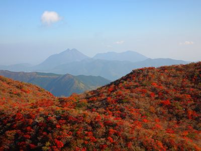 由布岳