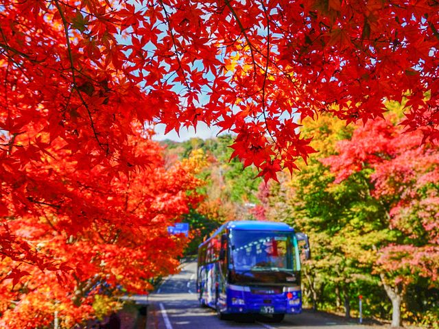 特典【2】イメージ