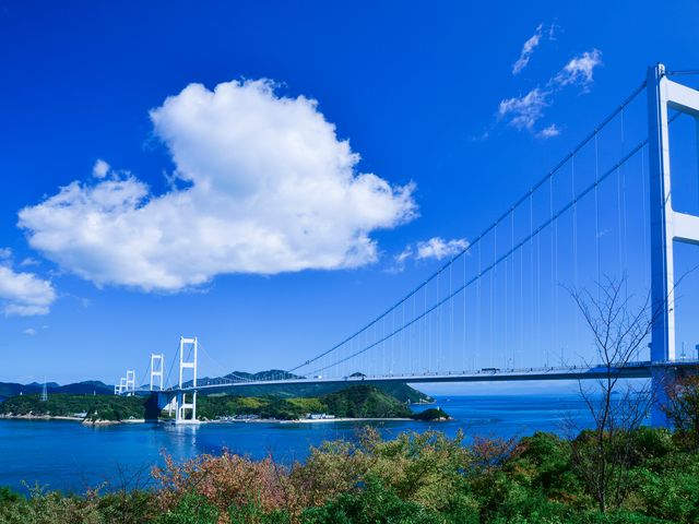 ④幅広いドライブコースイメージ