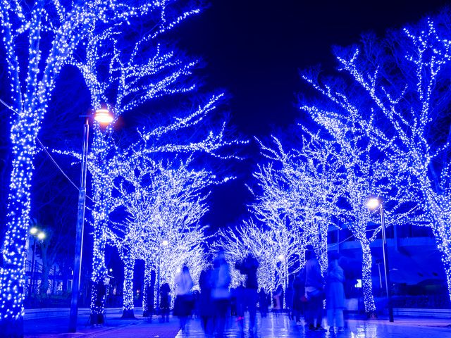 青の洞窟 SHIBUYAイメージ
