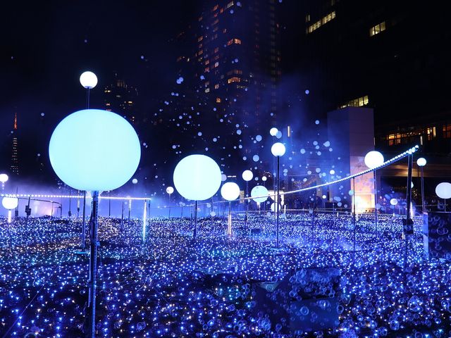 12月の見どころは･･･イメージ