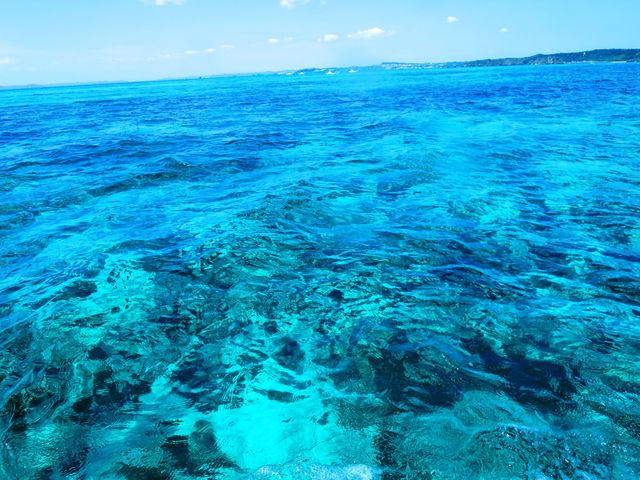 ボートに乗れるのは限られたショップのみイメージ