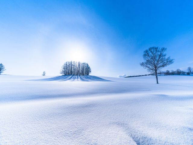 北海道周遊フリープランイメージ
