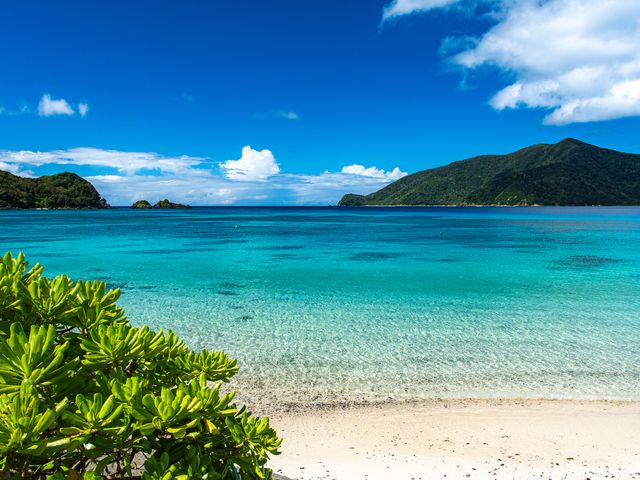 7月の奄美大島ツアーは…イメージ