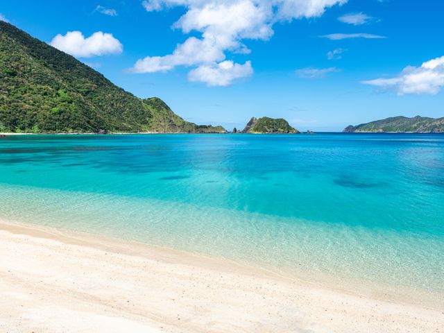 【奄美】国内旅行傷害保険付ツアーイメージ