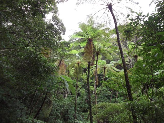 金作原探検コースイメージ