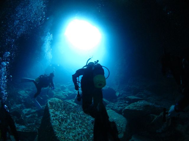 半日体験ダイビングイメージ