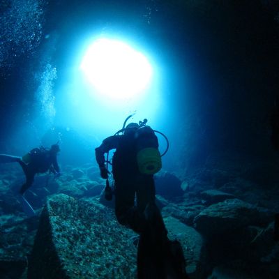 半日体験ダイビングイメージ