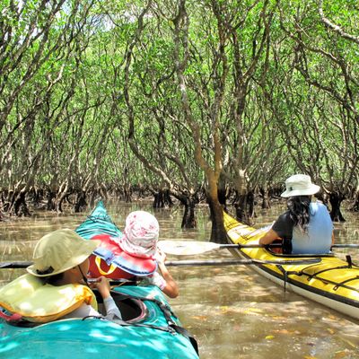 金作原探検＋マングローブカヌーイメージ