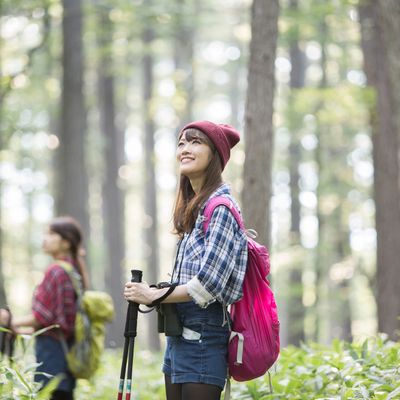 【南西オプショナルツアー】観光・体験・アクティビティ予約イメージ
