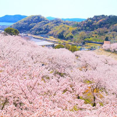 とにかく安くいきたい！4月 中国・四国ツアーイメージ