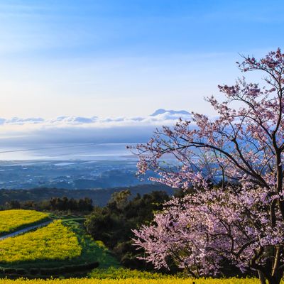 とにかく安くいきたい！3月 九州ツアーイメージ