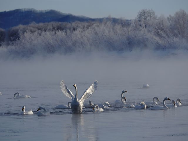 十勝川ネイチャーセンターイメージ
