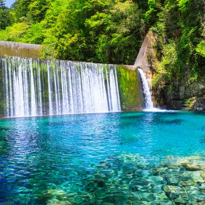 高知フリープランイメージ