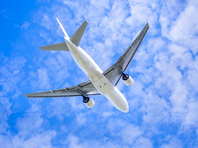 直前割 北海道旅行 最短2日前予約で行ける飛行機旅 東京発 北海道旅行 北海道ツアーなら格安旅行のj Trip