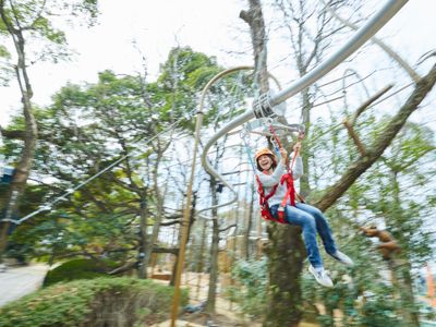 天空レールコースター